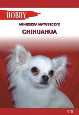 Zdjęcie produktu dla Chihuahua