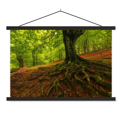 Produktbild von MuchoWow® Textilposter Baum - Wald - Herbstblätter 90x60 cm mit schwarzem Rahmen - Aufhängungssatz