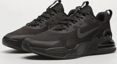 Zdjęcie produktu dla Buty Męskie Sportowe Nike Air Max Alpha Trainer 5 Dm0829 010 R-44