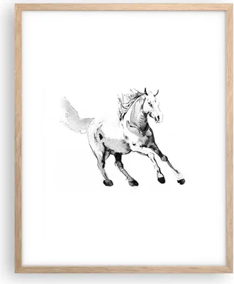 Produktbild von Gerahmtes Poster - Rahmen in heller Eiche - Pferd Galopp Tier - 40x50 cm - Wand Bild - Wanddeko - Wandbilder - Kunstposter - Wandposter - Bilderrahmen - Bilder - Kunstdruck - P2NPA40x50-5117