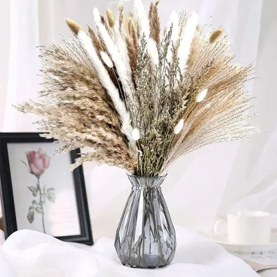 Produktbild von Famanu Trockenblumenstrauß Pampasgras - Natürliche Dekoration für Boho-Wohnzimmer