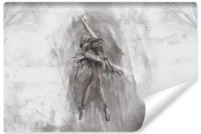 Produktbild von Muralo Selbstklebende Fototapete Für Wohnzimmer BALLERINA Ballett Tanz Beton Abstraktion Br. 135cm x Hö. 90cm
