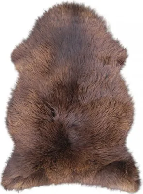 Produktbild von Englisches Lammfell naturbraun uni ca. 110 cm