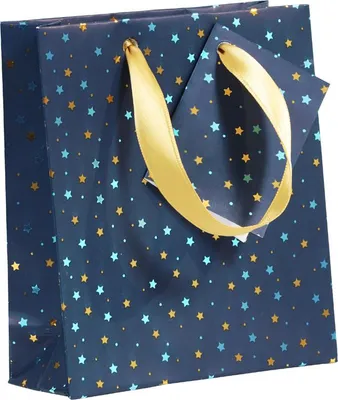 Immagine prodotto di Clairefontaine 212896C Sacchetto regalo natalizio Clairefontaine "Nuit bleutée"
