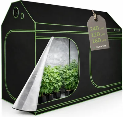 Image de HIGHWERK Tente de culture 240 x 120 x 180 cm, « MyHomeGrow » Tente de culture pour mansarde, noir vert