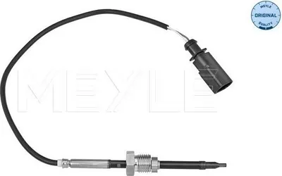 Image de Capteur, Abgastemperatur