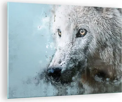 Produktbild von Bilder auf glas - Einteilig - Weiß Der Wolf Bild - 70x50cm - Glasbilder - Wandbilder - Bilder - zum Aufhängen bereit - Wanddekoration aus Glas - Glas Bilder - Wandbild auf Glas - GAA70x50-4623