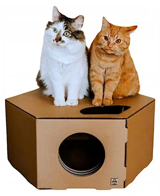 Produktbild von KAPAK COSMO Katzenhaus aus Pappe mit Kratzfläche und Liegeplatz 60 cm