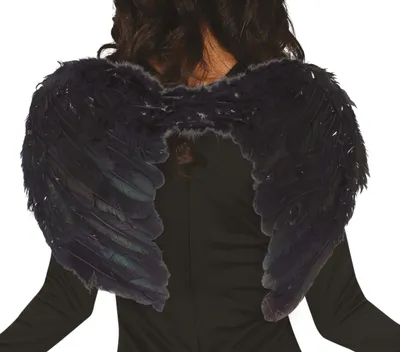 Produktbild von Fallen Angel Black Devil Rabenflügel 55x42cm