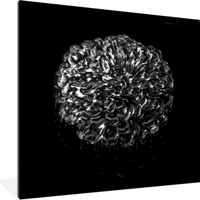 Produktbild von MuchoWow® Gerahmtes Poster Blumen - Blätter - Schwarz - Weiß 40x40 cm - Poster mit Schwarzem Bilderrahmen Wandposter Rahmen Foto Bilder - Mit Rahmen - Wanddekoration Schlafzimmer
