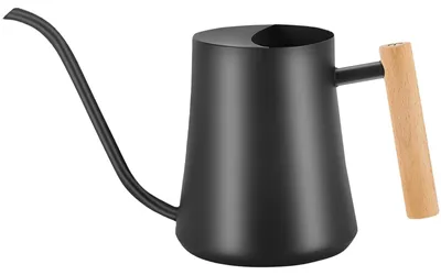Image de Arrosoir de 1000 ml pour plantes d'intérieur et d'extérieur