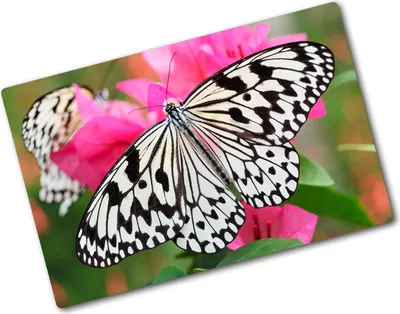 Produktbild von Tulup Glas Herdabdeckplatte - 80x52 cm - Glaskeramikkochfeld-Abdeckung Spritzschutz Glasabdeckplatte - Einteilig - Tiere - Schmetterling Blume - Rosa