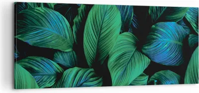 Produktbild von Bild auf Leinwand - Leinwandbild - Einteilig - Blätter Pflanzen Exotik - 120x50cm - Wand Bild - Wanddeko - Wandbilder - Leinwanddruck - Bilder - Wanddekoration - Leinwand bilder - AB120x50-5066