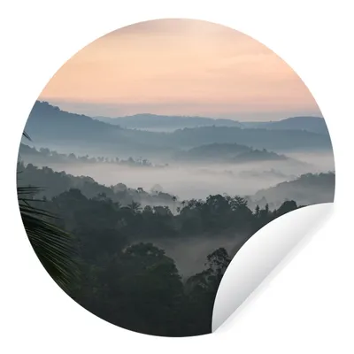 Produktbild von MuchoWow® Runde Wandtattoo - Wandsticker Tapete Aufkleber Wald - Sonne - Nebel Ø 50 cm Selbstklebend und Repositionierbar - Wandaufkleber - Kreis - Wand Kreis - Wand Bild - Foto Tapete - Selbstklebende - Wohnzimmerdekoration - Wand Dekoration - Kinderzimmer