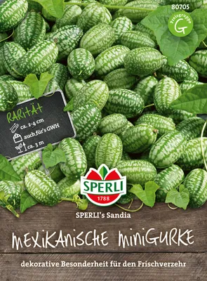 Produktbild von Mexikanische Minigurke ''Sperli´s Sandia'' dekorative Besonderheit für den Frischverzehr