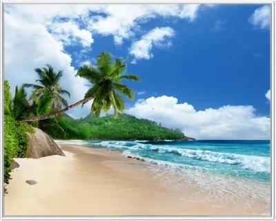 Produktbild von Wallario Wandbild Urlaub auf den Seychellen unter Palmen am Sandstrand, Größe: 40,30 x 50,30 cm, Poster mit weißem Aluminiumrahmen