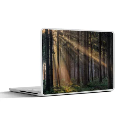 Produktbild von MuchoWow® Laptop Aufkleber Sticker Cover Bäume - Wald - Sonne - Pflanzen 25x18 cm - Laptop-Deko