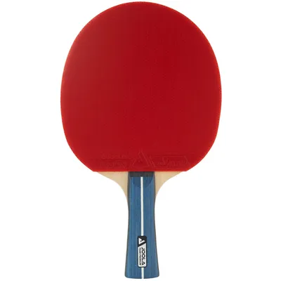 Image de Raquette de tennis de table JOOLA Team Premium