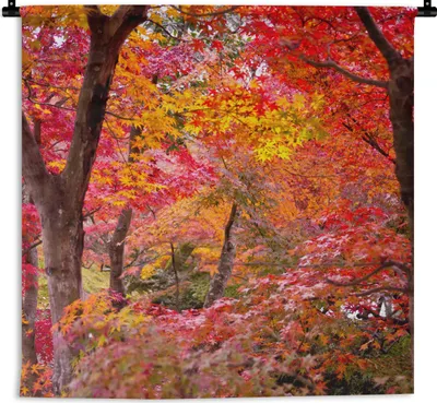 Produktbild von MuchoWow® Wandteppich Wandbehang Bunte japanische Ahorne 60x60 cm Tapisserie Dekoration Wandtuch - Dekorationen - Wand Decke
