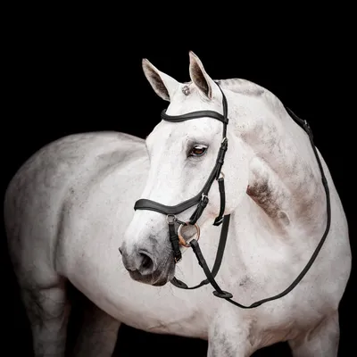Produktbild von Horseware Ireland Trense Micklem 2 Competition Bridle Micklemtrense Black X-Full