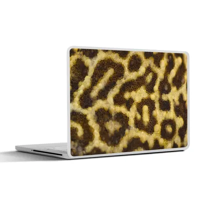 Produktbild von MuchoWow® Laptop Aufkleber Sticker Cover Nahaufnahme von Leopardenmustern 32.5x23.5 cm - Sticker für Laptop - Selbstklebend