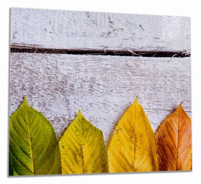 Produktbild von Wallario Herdabdeckplatte aus Glas, Größe 60 x 52 cm 1-teilig, Motiv Bunte Herbstblätter auf hellem Holz
