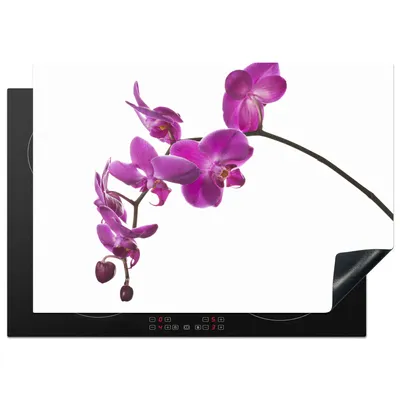 Produktbild von KitchenYeah© Herdabdeckplatte Orchidee vor weißem Hintergrund , 75x52cm, Küche Deko, Glaskeramikkochfeld Herdabdeckung, Abdeckplatte fùr Kochfeld