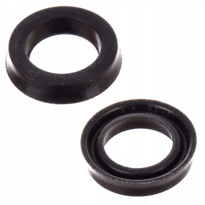 Two black rubber O-rings are shown against a white background.