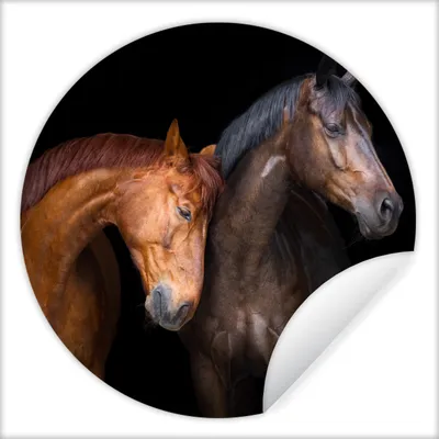 Produktbild von MuchoWow® Runde Wandtattoo - Wandsticker Tapete Aufkleber Pferde - Tiere - Porträt - Braun Ø 100 cm Selbstklebend und Repositionierbar - Wandaufkleber - Kreis - Tapetenkreis - Wandbild rund - Schlafzimmerdekoration - Wanddeko - runde Tapete - Kunst für zu Hause