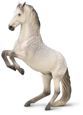 Produktbild von Collecta Pferde-Spielfigur Lipizzaner Hengst XL handbemalt