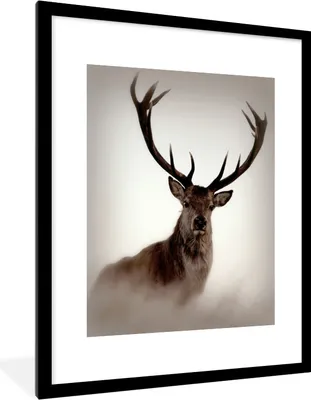 Produktbild von MuchoWow® Gerahmtes Poster Porträt - Hirsch - Geweih 60x80 cm - Poster mit Schwarzem Bilderrahmen Wandposter Rahmen Foto Bilder - Wohnzimmer - Dekorationen - Prämie
