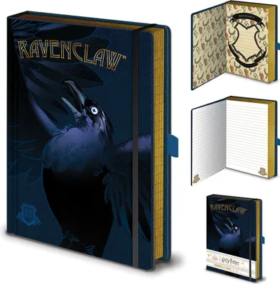 Produktbild von Harry Potter - Luxus-Notizbuch - Intricate Houses Ravenclaw