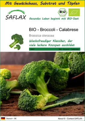 Produktbild von SAFLAX Anzucht Set - BIO - Broccoli - Calabrese - Brassica oleracea - 100 Samen - Mit Mini-Gewächshaus, Anzuchtsubstrat und 2 Töpfen