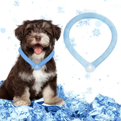 Produktbild von Hundekühlhalsband, blau, bis 47 cm Halsumfang, für Hunde