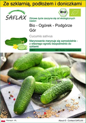 Zdjęcie produktu dla SAFLAX - Zestaw do uprawy - Bio - Ogórek - Podgórze Gór - 15 Nasiona - Z mini szklarnią, podłożem uprawowym i 2 doniczkami - Cucumis sativus