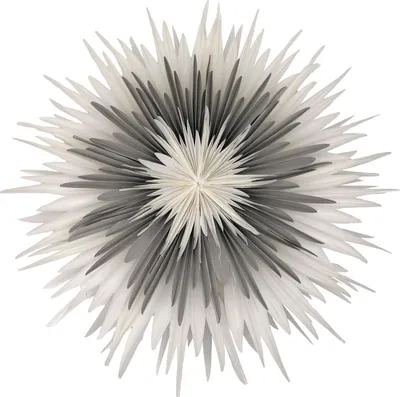 Produktbild von Stella-Dalia, Pergamentpapier weiß-grau-weiß 60 cm