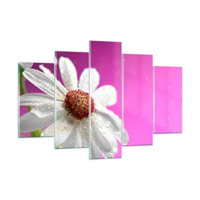 Produktbild von Bilder auf glas - Blume frühling garten - 150x100cm - Glasbilder - Wandbilder - Kunstdruck - zum Aufhängen bereit - Wanddekoration aus Glas - Glas Bilder - Wandbild auf Glas - GEA150x100-2469