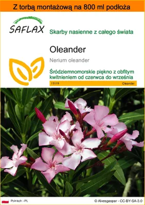 Zdjęcie produktu dla SAFLAX - Garden in the bag - Oleander - 50 Nasiona - Z podłożem uprawowym w praktycznej, samorozkładającej się torbie - Nerium oleander