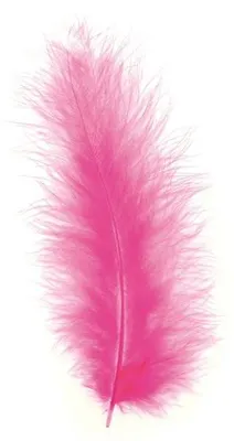 Produktbild von Glorex Marabufedern pink ca. 15 Stück