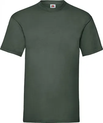 Image de Fruit of the Loom T-Shirt Valueweight