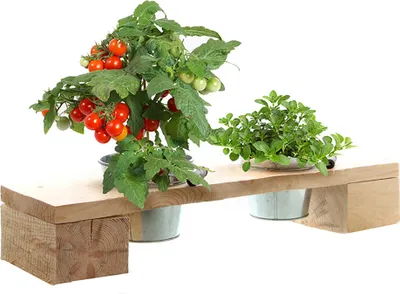 Produktbild von Pflanztreppen und Kräuterregale inklusive verzinkten Plfanzgefäßen Pflanzregal Blumenkasten Blumentreppe
