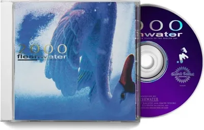 Produktbild von 2000: In Search Of The Endless Sky