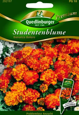 Produktbild von Studentenblumen Bonanza Bolero | Studentenblumensamen von Quedlinburger