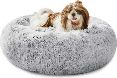 A small dog is lying on a fluffy gray dog bed.