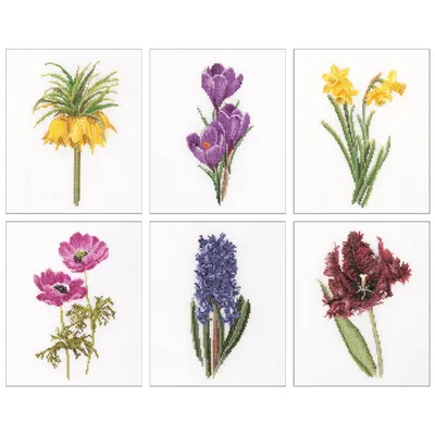 Productafbeelding van Thea Gouverr Kreuzstich Stickpackung "Sechs Blumenstudien I Aida", Zählmuster, 6x17cm