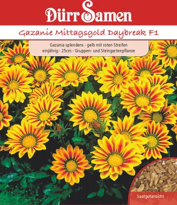 Produktbild von Gazanie Mittagsgold Daybreak F1 | Gazaniensamen von Dürr Samen