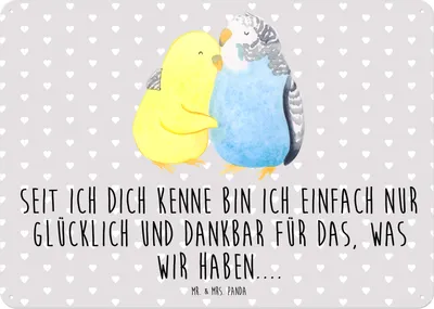 Produktbild von Mr. & Mrs. Panda tafel Wellensittich Liebe DIN A5 - Grau Pastell - Geschenk, Schild, Retro Blechschild, Beziehung, Türschild, Umarmung, Freundin, Wandschild, Wandbild