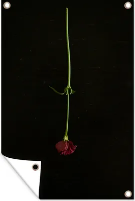 Produktbild von MuchoWow®
