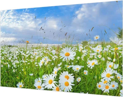 Produktbild von Wandtapete - Dekorative Tapete für Wohnzimmer- Tapetenfolie für Wanddekoration - 104x70 cm - Sommerwiese
