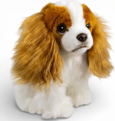 Obrázek produktu pro Carl Dick King Charles Spaniel sedící, cca 25 cm, plyšová hračka, látková hračka, mazlíček 3762